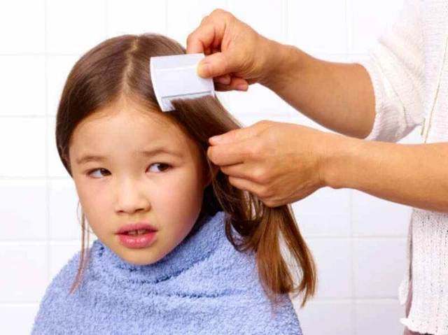 Double Sided Nit Combs for Head Lice Detection Comb Kids Pet Flea 3