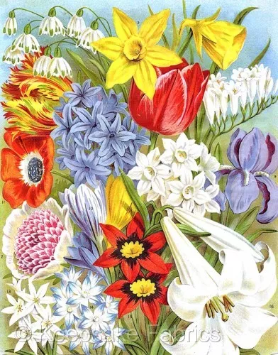 Quilt Block Colorful Seed Packet Flowers Multi Szs FrEE ShiPpinG WoRld WiDE (21A