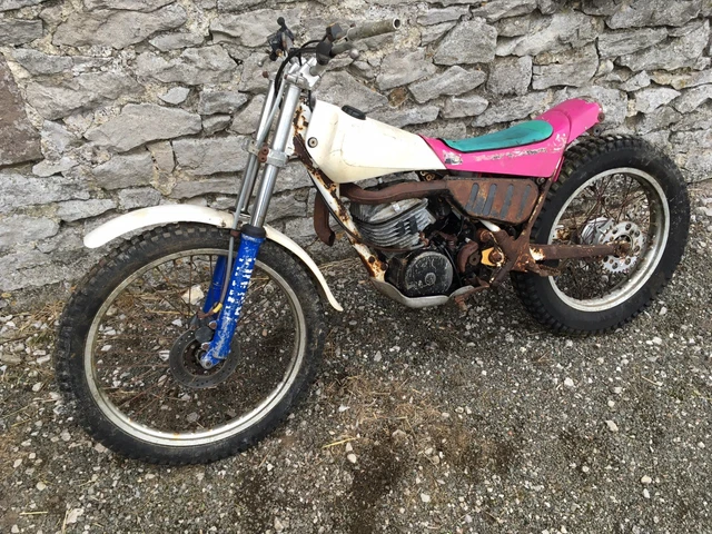 YAMAHA TY250 MONO Pinky Project PicClick UK