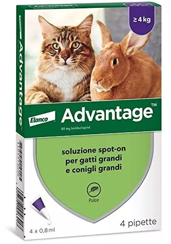 Advantage spot-on trattamento antipulci per gatti grandi e conigli grandi 4 p...