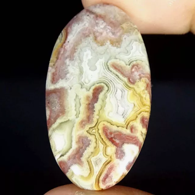 26.70Cts Natural Crazy Lace Agate Oval Cabochon Loose Gemstones