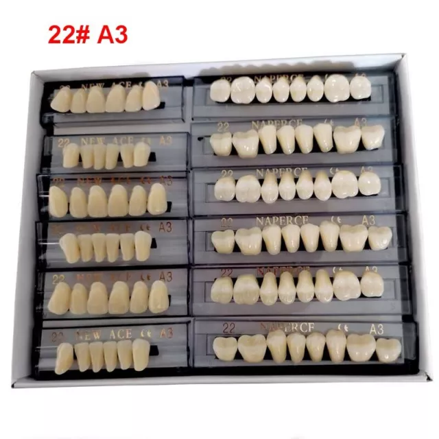 168pc Acrylic Resin Denture Full Set Teeth Upper Lower Shade Tooth Dental 22# A3