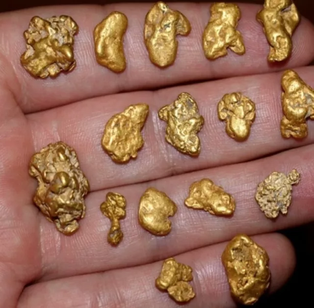 GOLDN BADGER 'HOARD' GOLD PAYDIRT BAG - Gold Paydirt Pay Dirt Panning  Flakes