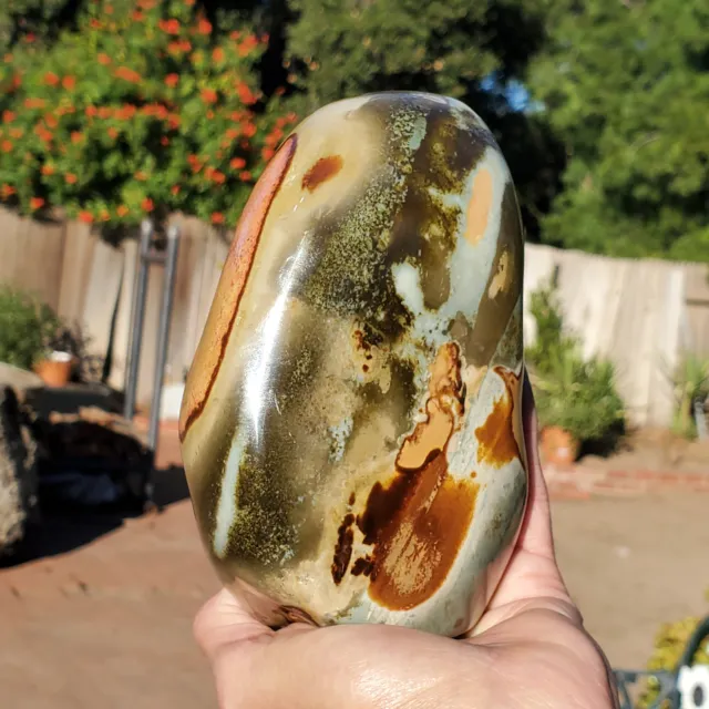 Polychrome Jasper Freeform Standing | Hand Picked A Grade | 1010 grams | 2lbs