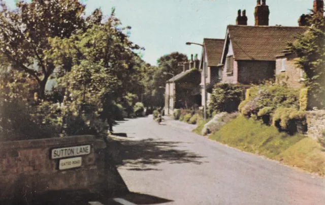Vintage DVP Co Postcard - Sutton Lane, Market Bosworth, Warwickshire