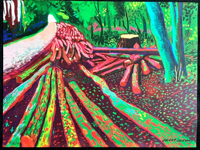 Lithographie David Hockney 'California' - Signée, Numérotée, Avec COA - Œuvre D'art Originale