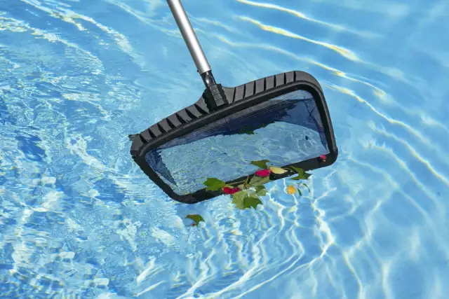 PREMIER COLLECTION MOLDED Swimming Pool and Spa Leaf Rake $22.01 - PicClick