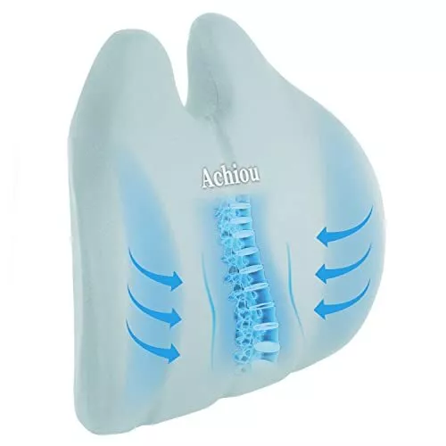 Memory Foam Lumbar Support Cushion Pad Back Pillow for Office Car Chair Seat
