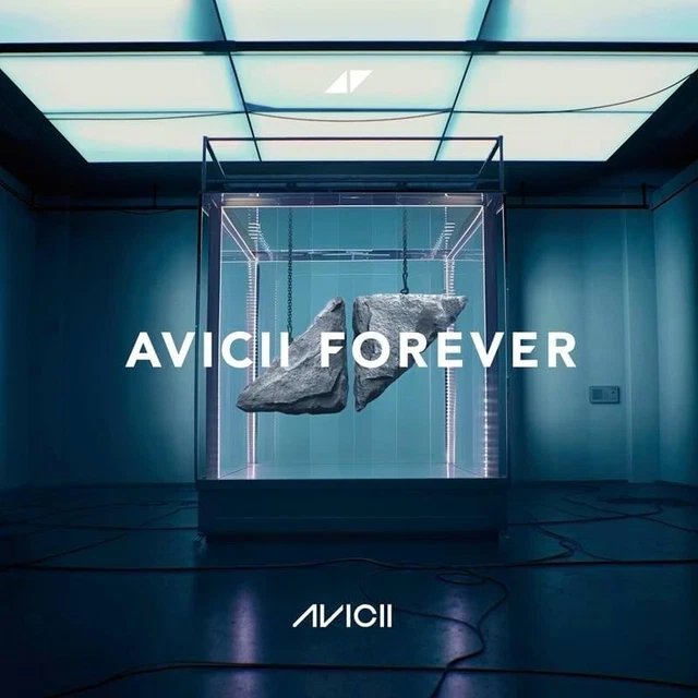 Avicii レコード　本　まとめ売り Avicii レコード 本 まとめ売り - メルカリ