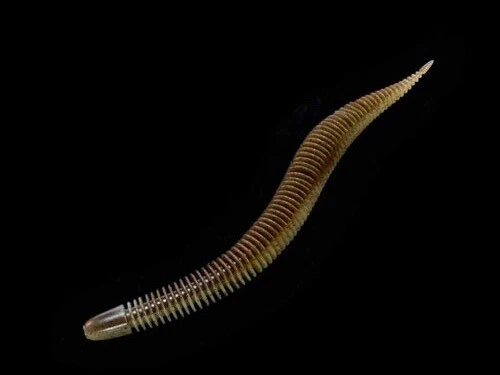 Leurre Souple Crazy Fish Cruel Leech - 5.1 Pouces - Neuf En Emballage