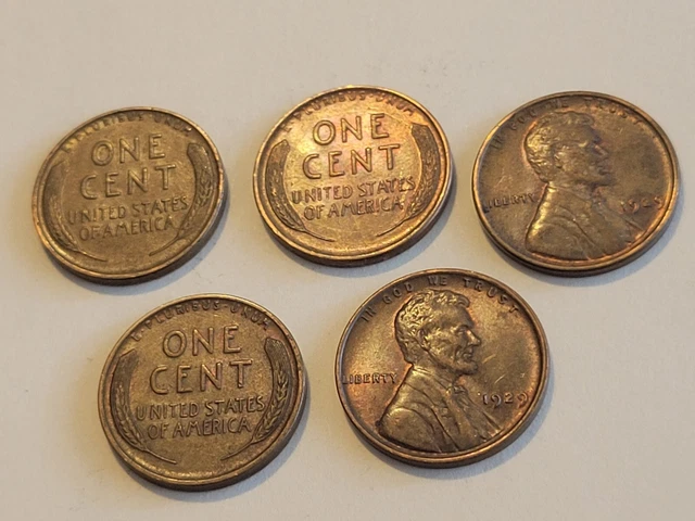 1929 Lincoln Wheat Cent Penny Lot of 5 Gorgeous Coins! Philadelphia US Mint! 4