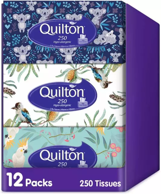 Quilton Hypo Allergenic 2 Ply 250 Facial Tissues Pack, 12 Packs