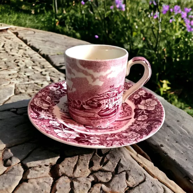 Vintage Palissy Pottery Pink Red Demitasse Cup and Saucer Thames River Scenes