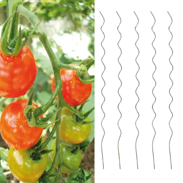 50x Varillas de Espiral Tomate 110cm Barras Siembra Galva Acero Ayuda Trepar