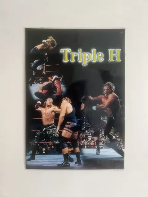 Triple H WWF Wrestling Vintage Poster WWE X Pac HBK Shawn Michaels