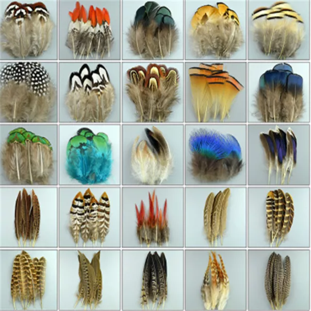 Wholesale 10-100PCS Beautiful Chicken Tail  peacock feathers 3-20cm/2-8inches