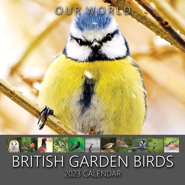 OUR WORLD BRITISH Garden Birds Wall Calendar 2023 Family Planner