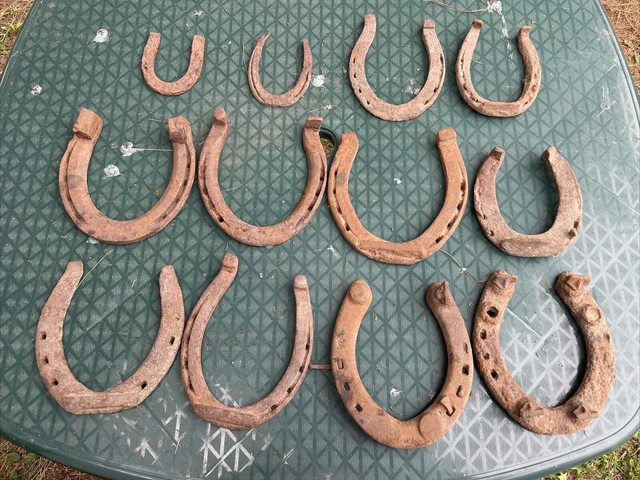 Horse Shoe Lot (12) Cast Iron Vintage Rustic Hand Forged
