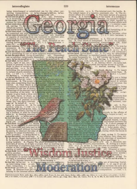 Georgia State Map Symbols Altered Art Print Upcycled Vintage Dictionary Page
