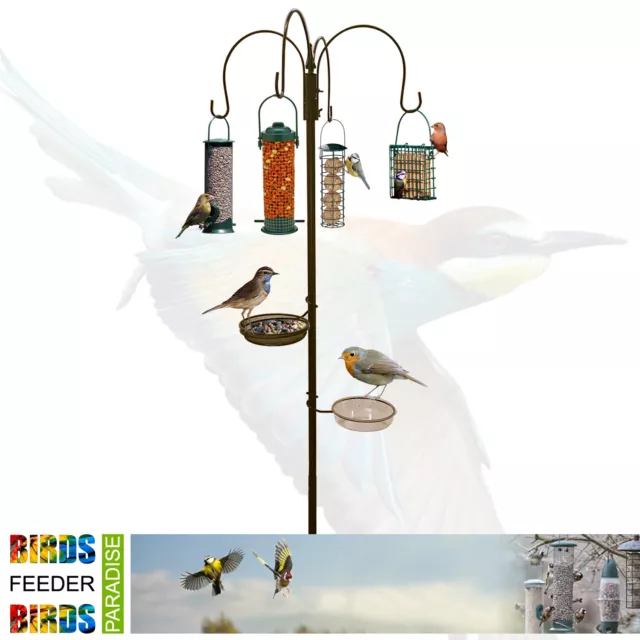 Wild Bird Feeding Station Hanging Feeders Water Bath Table Seed Tray