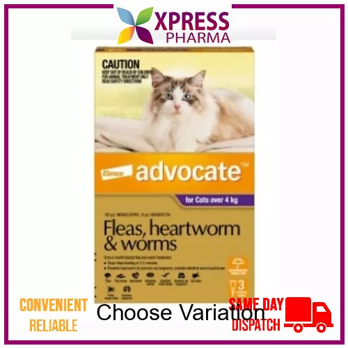 Advocate Allwormer Flea heartworm for Large Cats Over 4 kgs Wormer NEW XPRESS