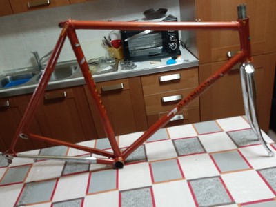 Telaio bici corsa epoca Raimondi acciaio columbus epoca 
