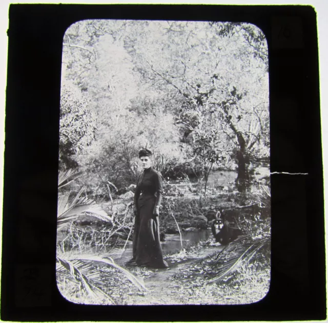 Glass Magic Lantern Slide EDWARDIAN LADY WITH DOG C1900