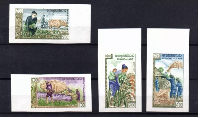 Laos 1963 IMPERVED conjunto de sellos de hambre (Michel 128/31 B) montado sin montar o nunca montado