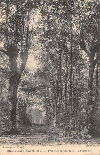 CPA 91 BRIIS SOUS FORGES / PROPRIETE DES BOSQUETS / UN SOUS BOIS / cliché rare