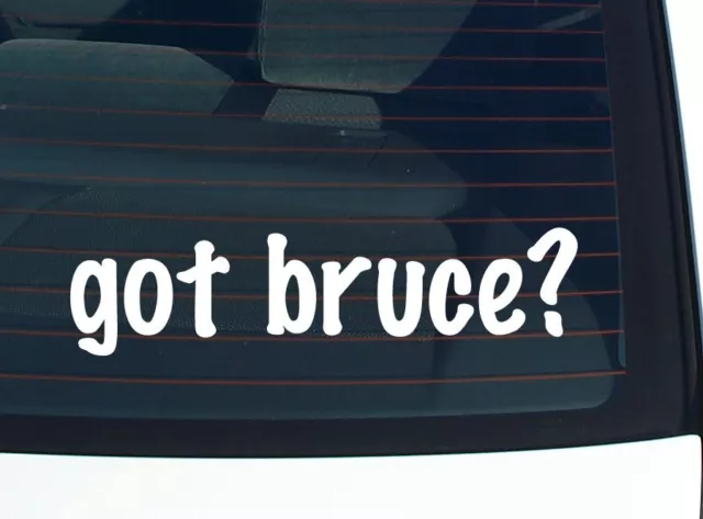 got bruce? CAR DECAL BUMPER STICKER VINYL FUNNY LAST NAME WINDOW PRIDE