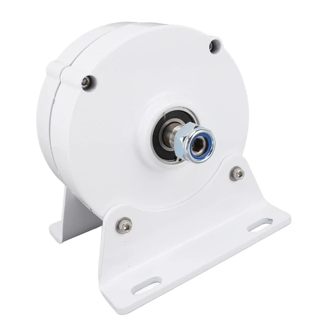 Generatore a magneti permanenti doppio albero 24 V generatore sincrono 3 fasi alter