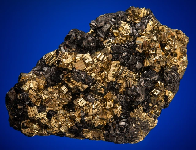Sphalerite on Pyrite Eagle Mine, Gilman, Eagle County, Colorado 2210-042