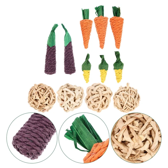 12 pcs Hasen Molar Spielzeug Hamster Holz Spielzeug Meerschweinchenspielzeug