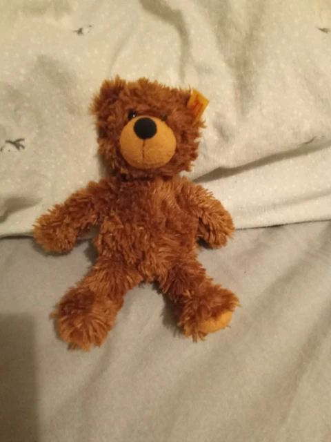 Steiff charly bear 30cm cheap