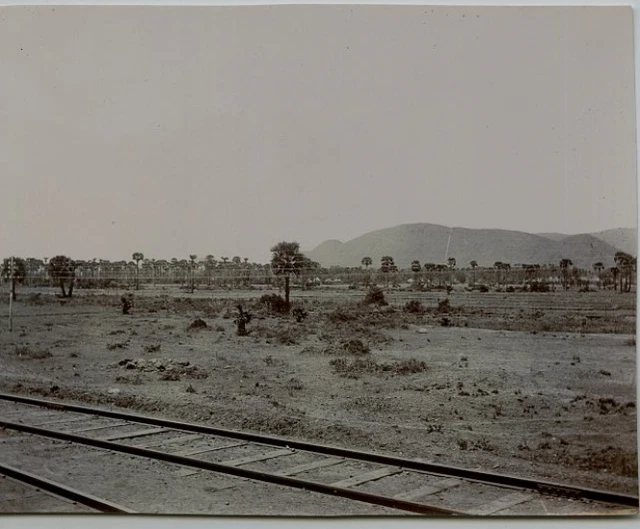 Inde, Paysage  Vintage print, India  Tirage citrate  9x12  Circa 1910