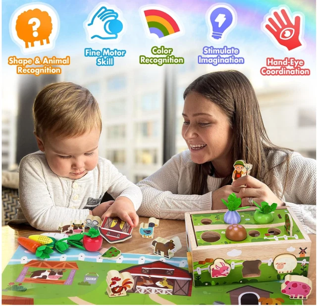Wooden Sensory Toddler Toys: Babies 6-12 Months Toy for 1 2 3 Year Old Boys Girl
