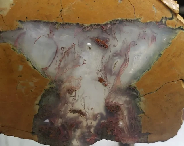PRIDAY PLUME AGATE - Plume Bed, Prized Oregon Thunderegg - Beautifu Slab 39grams