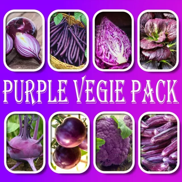 Everything Purple-Vegetable Seeds Pack-10 Packets-Culinary Cooking Garden Plants