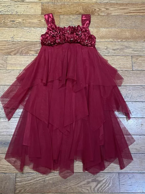 BISCOTTI Girl's Formal Fancy Party Christmas Red Tulle Layer Flowers Dress Sz 8