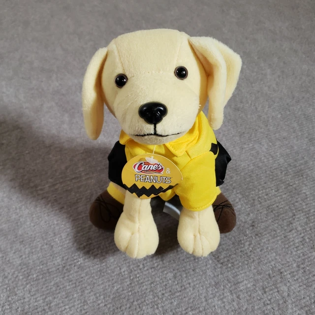 RAISING CANES PEANUTS Plush Charlie Brown Dog 2021 $19.99 - PicClick
