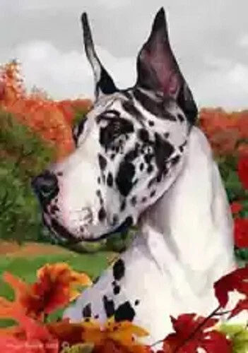 Fall House Flag - Harlequin Great Dane 13150b