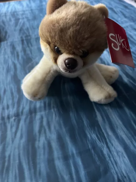 Suki Pomeranian Small Sitting