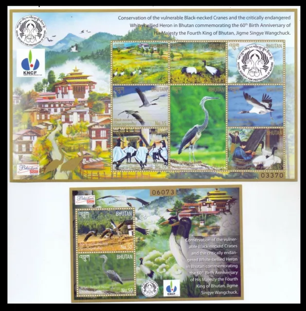 080. Bhutan 2015 Tampon M/S + S/S Conservation De Nature, Oiseaux. MNH