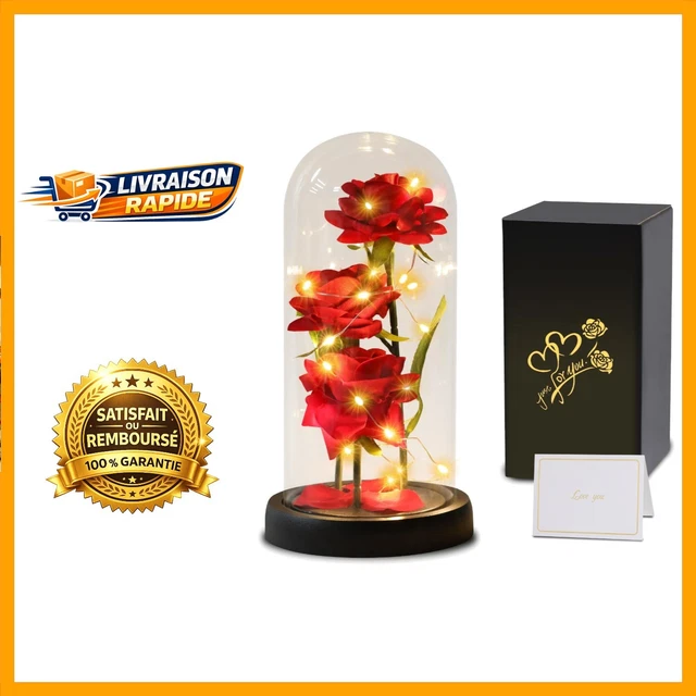 Rose Eternelle Sous Cloche Avec Lumière LED - Rose Magique Cadeau Saint Valentin, Anniversaire, Fête Des Mères