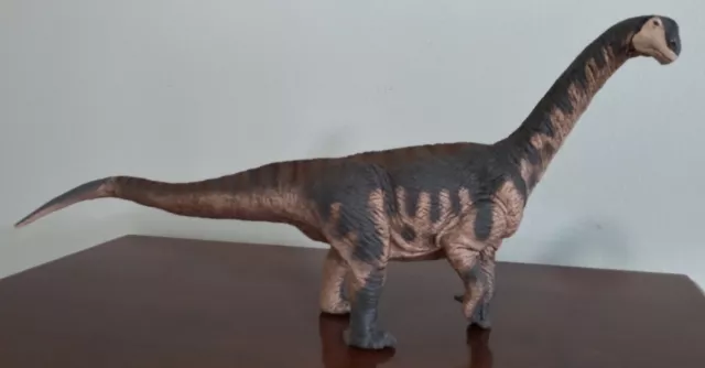 Safari Ltd Camarasaurus 13" Dinosaur Figure 2019