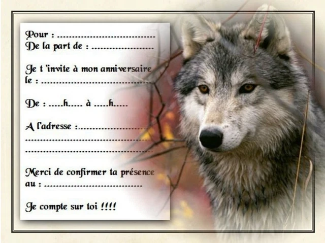 Cartes Invitation Anniversaire – Lot De 5 Ou 12 – Réf 1038 – Neutres