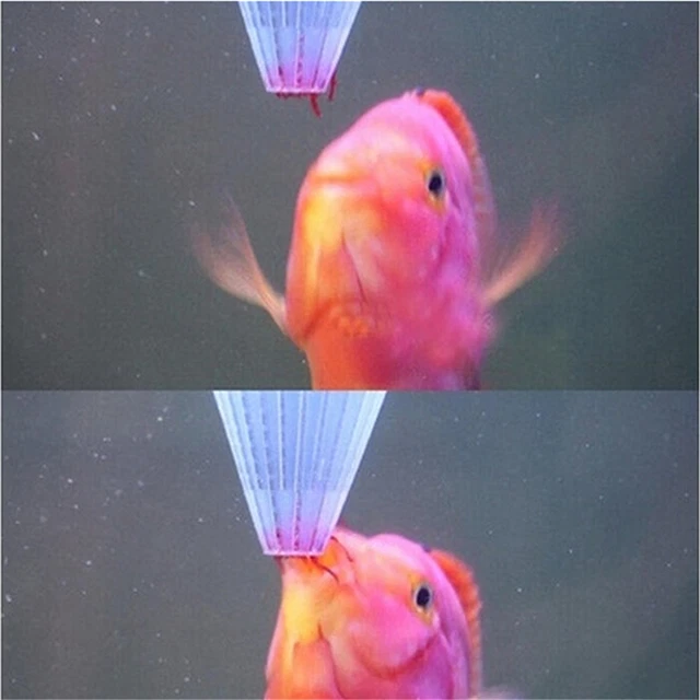 4 piezas alimentador para cesta de acuario comida para peces gusano vivo gusano de sangre cono camarón salmuera T_Z8