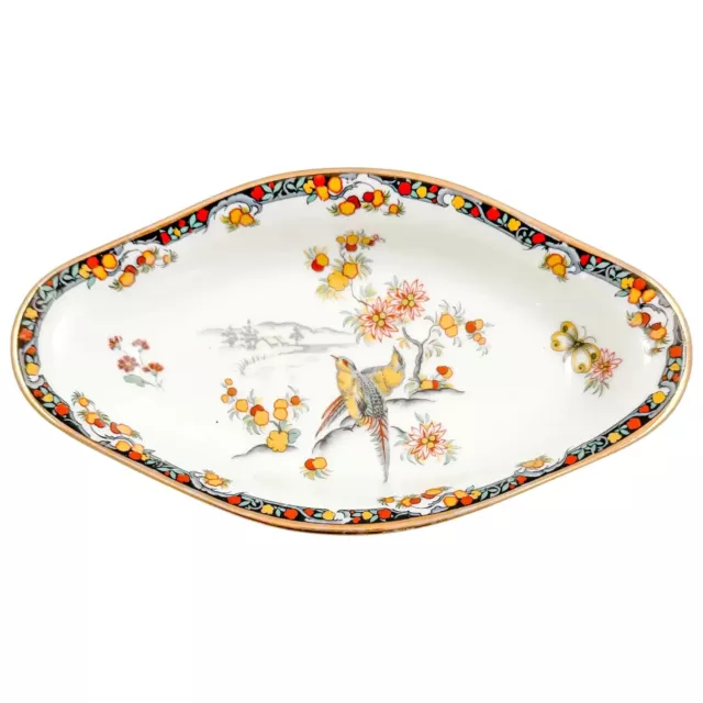 Vintage French Limoges paradise bird porcelain oval serving plate / candy dish