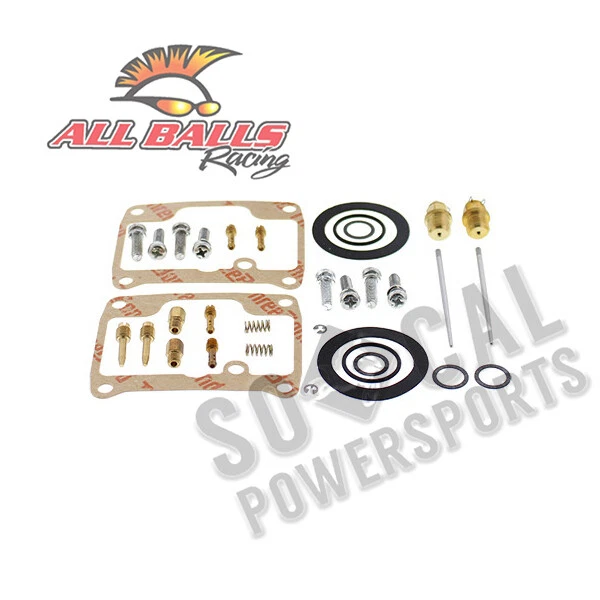 All Balls Carburetor Rebuild Kit for 1993 - 1994 Ski-Doo Safari L Snowmobile