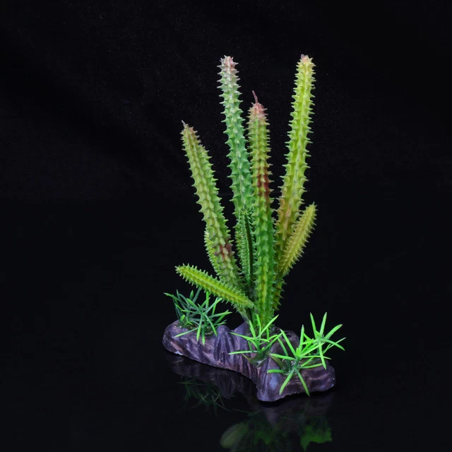 Creativas Suculentas Planta Artificial Acuario Paisaje Decoración Plástico